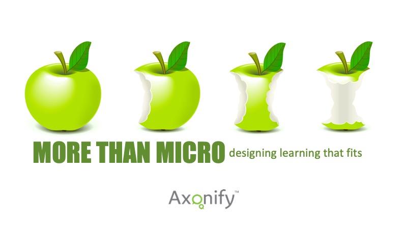 More Than Micro: Designing Learning That Fits